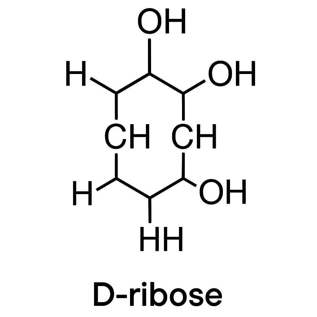 D-riboze energijai