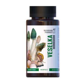 Pradžia 9 Poniabudė